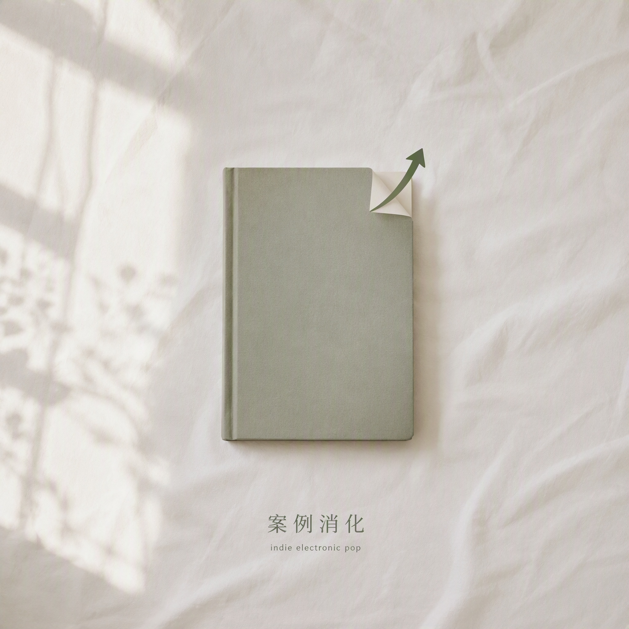 案例消化