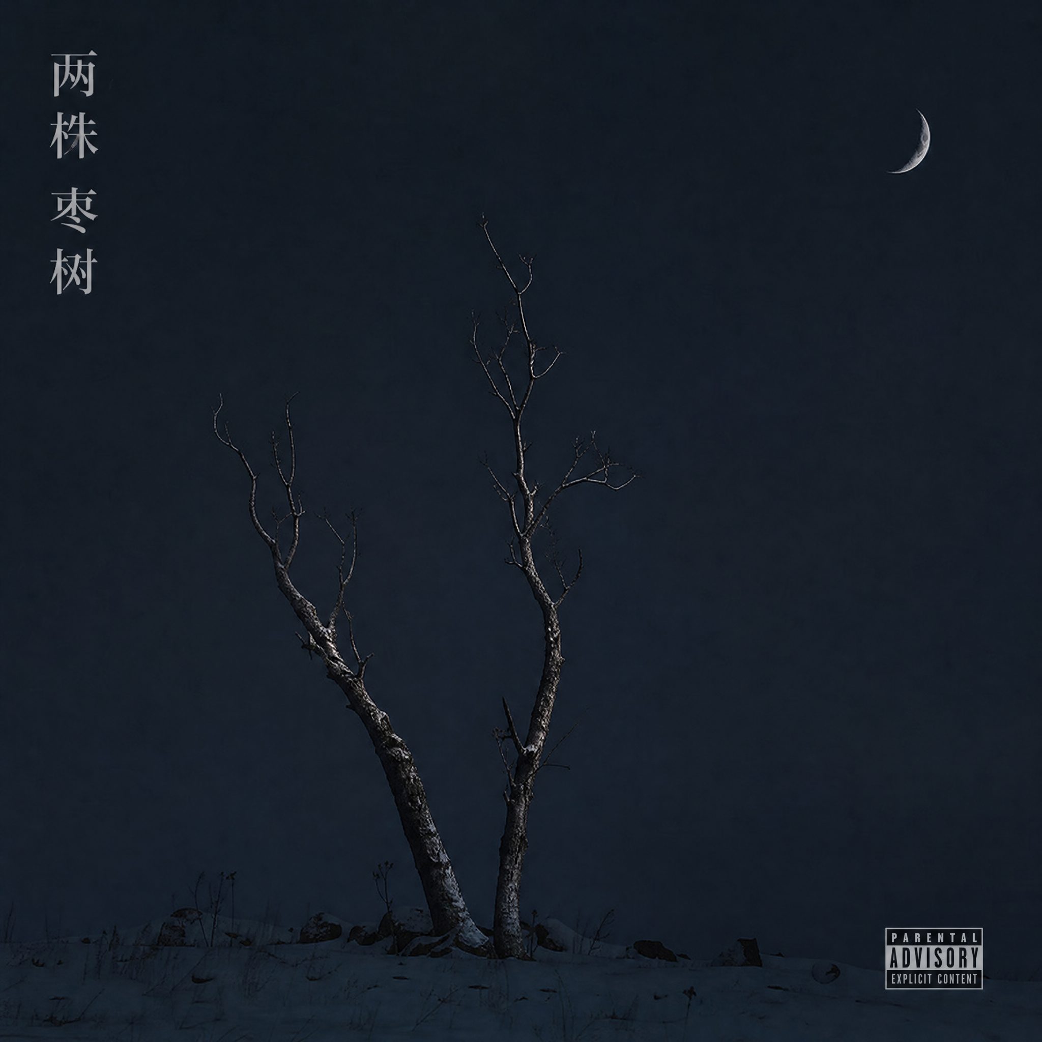 两株枣树