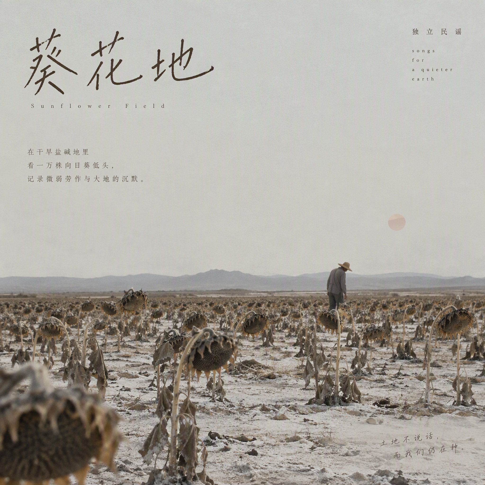 葵花地